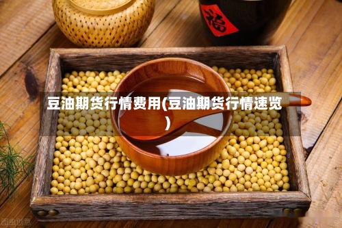 豆油期货行情费用(豆油期货行情速览)