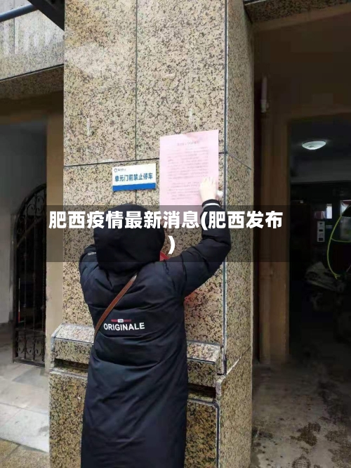 肥西疫情最新消息(肥西发布)-第2张图片