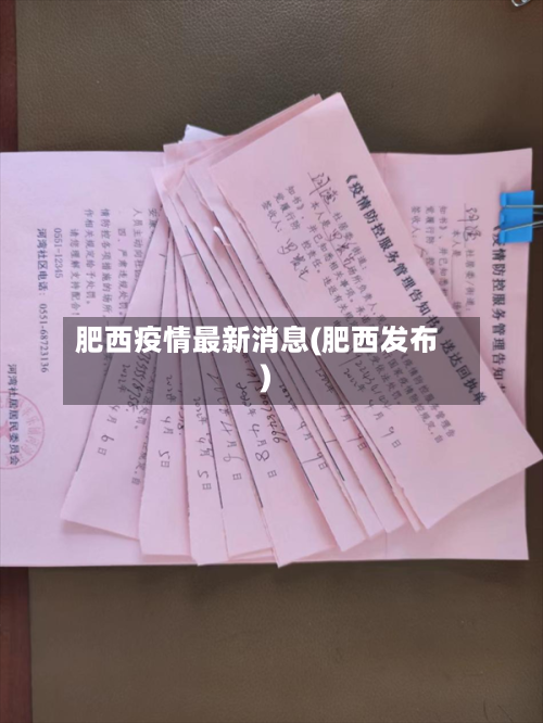 肥西疫情最新消息(肥西发布)-第3张图片
