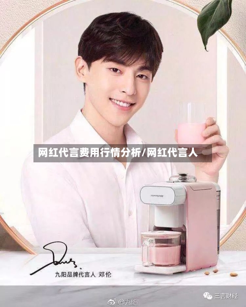 网红代言费用行情分析/网红代言人
