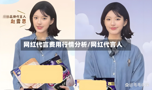 网红代言费用行情分析/网红代言人-第2张图片