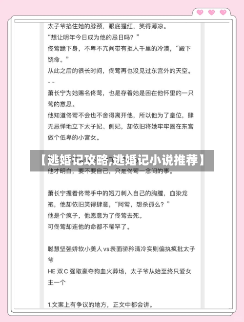 【逃婚记攻略,逃婚记小说推荐】-第2张图片