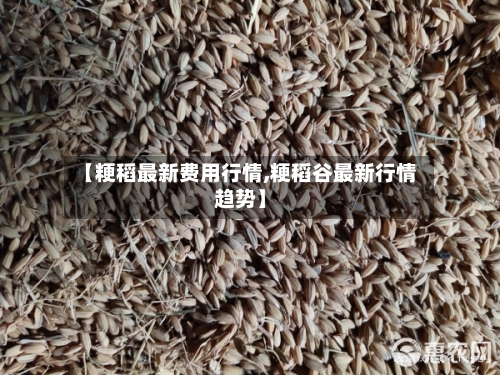 【粳稻最新费用行情,粳稻谷最新行情趋势】