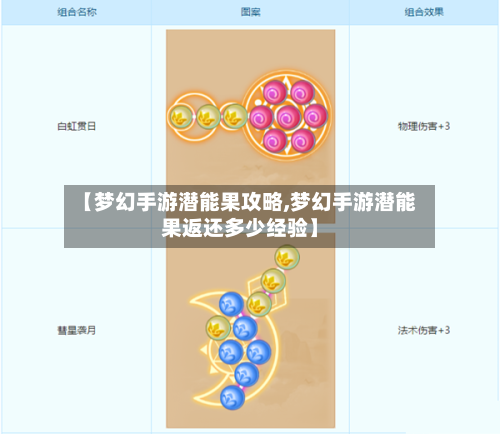 【梦幻手游潜能果攻略,梦幻手游潜能果返还多少经验】