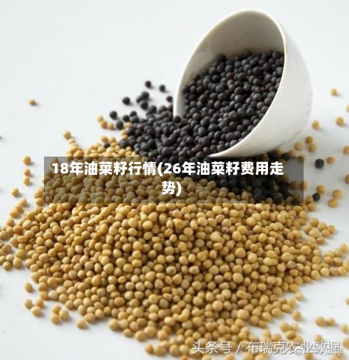 18年油菜籽行情(26年油菜籽费用走势)-第2张图片
