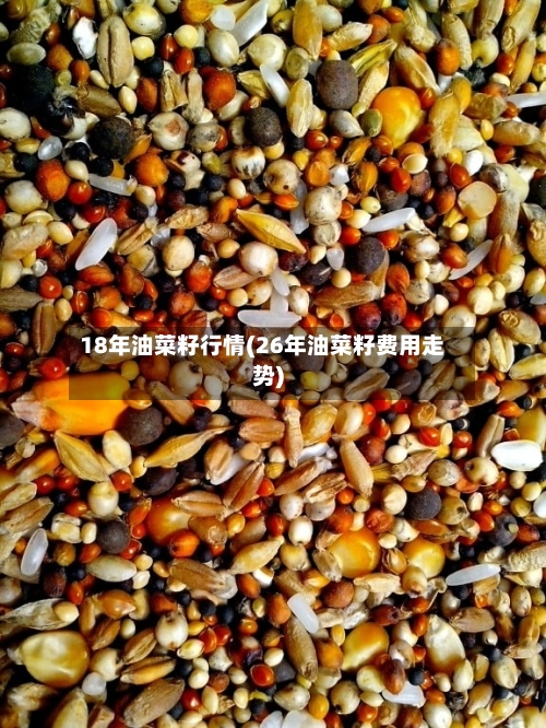 18年油菜籽行情(26年油菜籽费用走势)-第3张图片