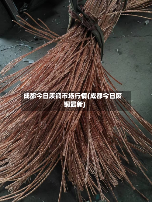 成都今日废铜市场行情(成都今日废铜最新)
