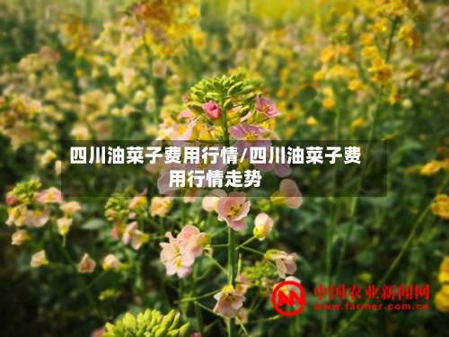 四川油菜子费用行情/四川油菜子费用行情走势