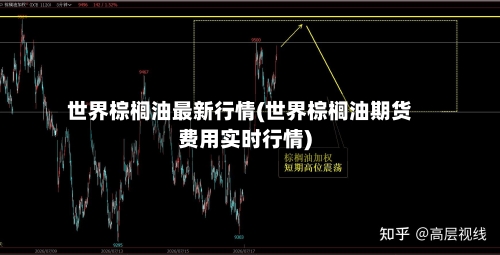 世界棕榈油最新行情(世界棕榈油期货费用实时行情)-第2张图片