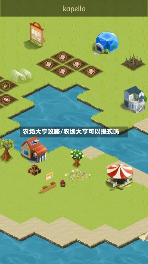 农场大亨攻略/农场大亨可以提现吗
