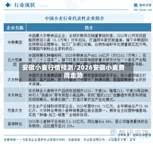 安徽小麦行情预测/2026安徽小麦费用走势-第2张图片