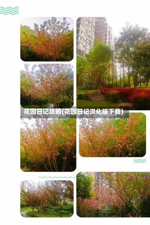花园日记攻略(花园日记汉化版下载)
