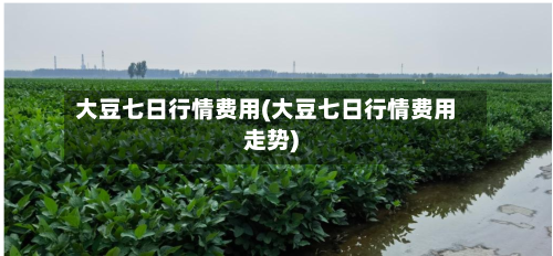 大豆七日行情费用(大豆七日行情费用走势)