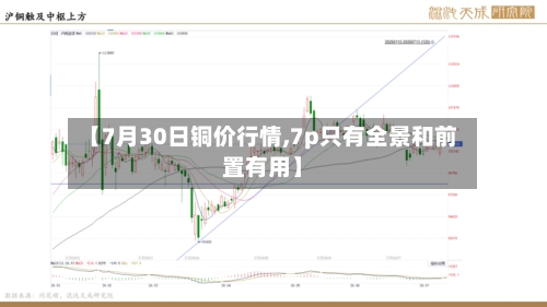 【7月30日铜价行情,7p只有全景和前置有用】-第3张图片