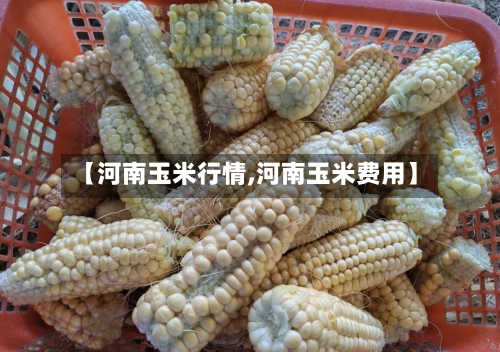 【河南玉米行情,河南玉米费用】-第2张图片