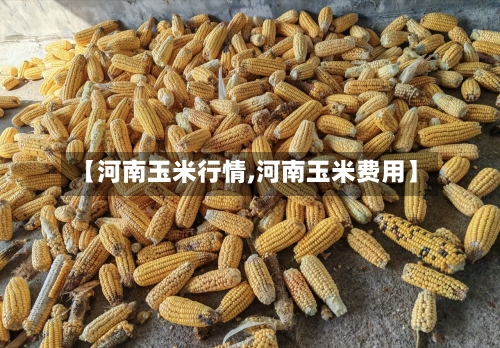 【河南玉米行情,河南玉米费用】