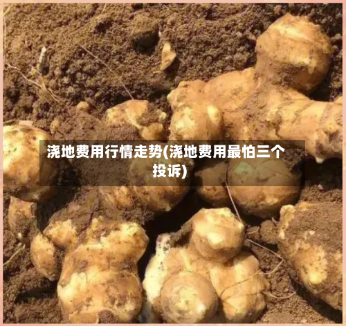 浇地费用行情走势(浇地费用最怕三个投诉)