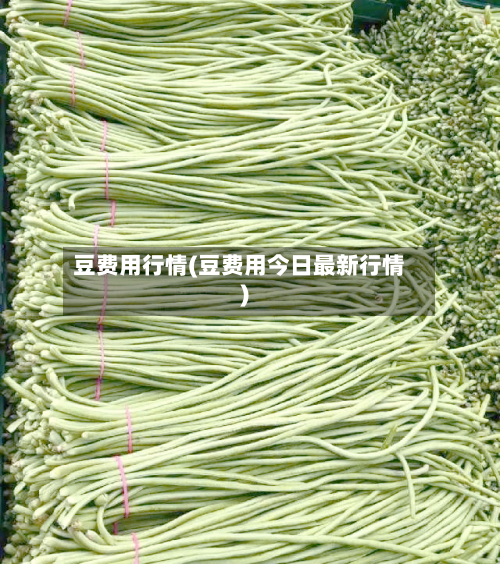 豆费用行情(豆费用今日最新行情)-第3张图片