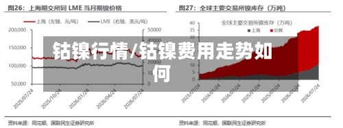 钴镍行情/钴镍费用走势如何-第3张图片