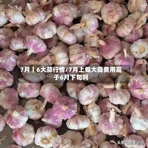 7月丨6大蒜行情/7月上旬大蒜费用高于6月下旬吗-第2张图片