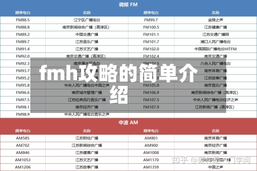 fmh攻略的简单介绍-第2张图片