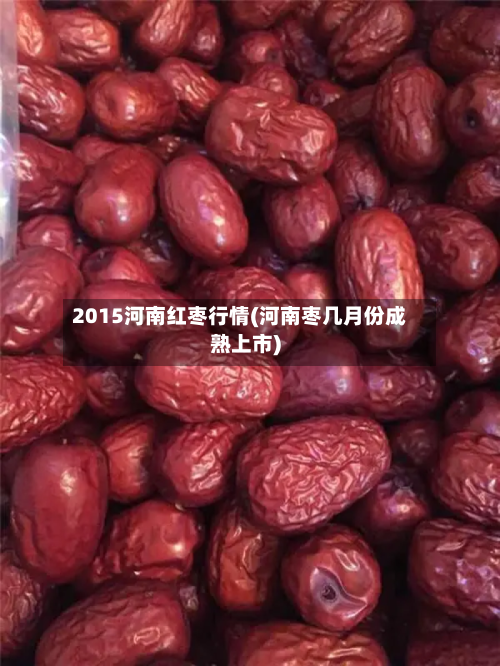 2015河南红枣行情(河南枣几月份成熟上市)