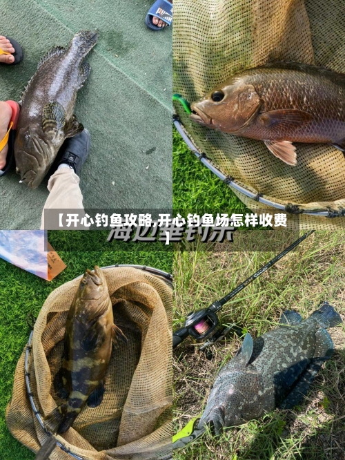 【开心钓鱼攻略,开心钓鱼场怎样收费】