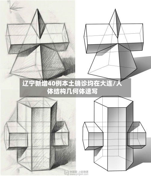 辽宁新增40例本土确诊均在大连/人体结构几何体速写