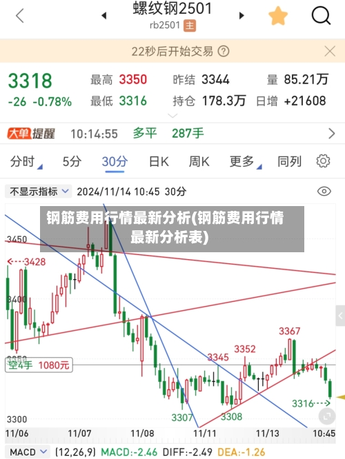 钢筋费用行情最新分析(钢筋费用行情最新分析表)