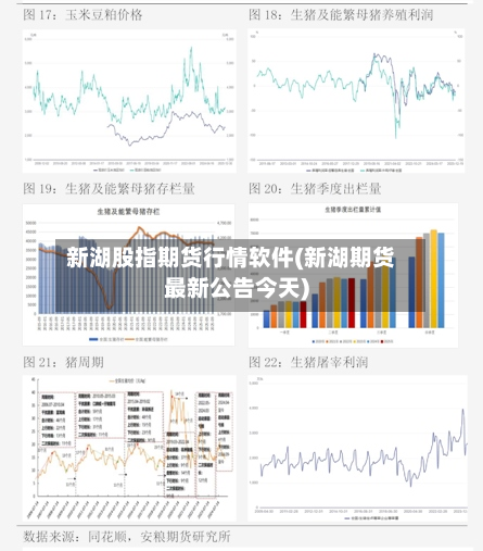 新湖股指期货行情软件(新湖期货最新公告今天)