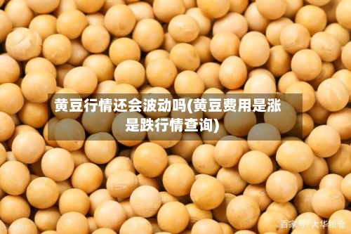 黄豆行情还会波动吗(黄豆费用是涨是跌行情查询)-第3张图片