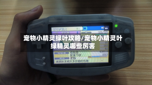 宠物小精灵绿叶攻略/宠物小精灵叶绿精灵哪些厉害