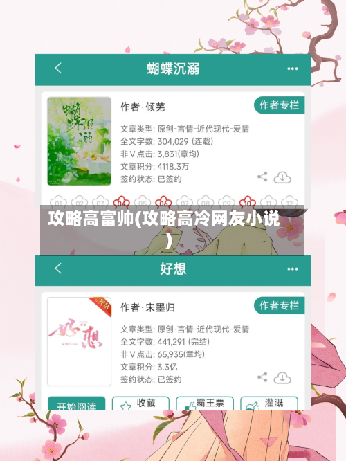 攻略高富帅(攻略高冷网友小说)-第3张图片