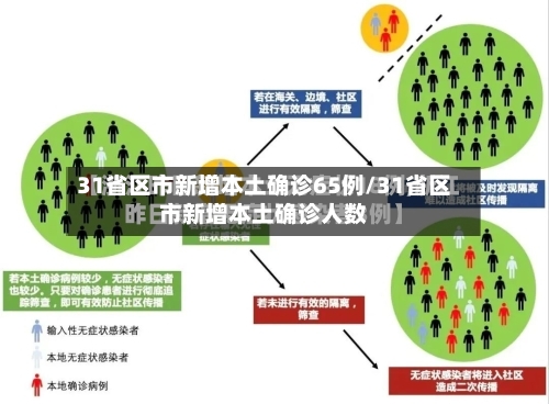 31省区市新增本土确诊65例/31省区市新增本土确诊人数