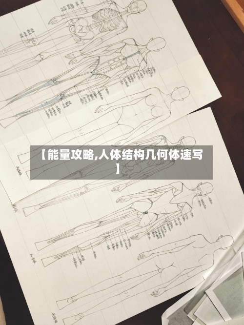 【能量攻略,人体结构几何体速写】