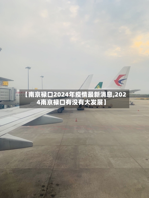 【南京禄口2024年疫情最新消息,2024南京禄口有没有大发展】
