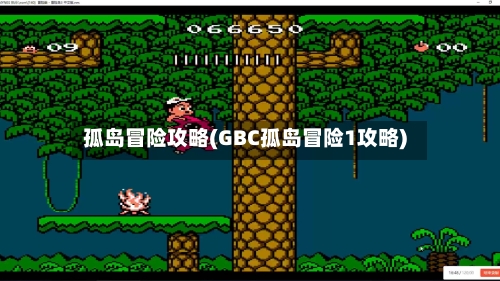 孤岛冒险攻略(GBC孤岛冒险1攻略)-第3张图片