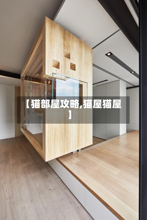 【猫部屋攻略,猫屋猫屋】-第3张图片