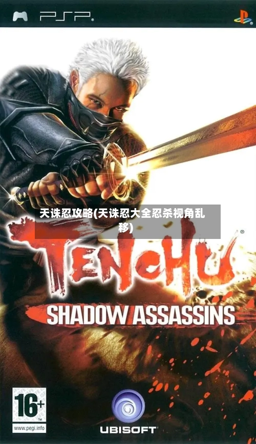 天诛忍攻略(天诛忍大全忍杀视角乱移)
