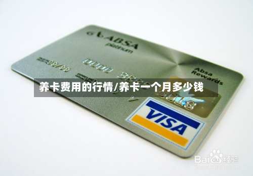 养卡费用的行情/养卡一个月多少钱