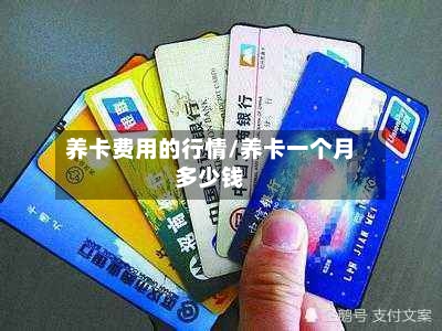 养卡费用的行情/养卡一个月多少钱-第2张图片