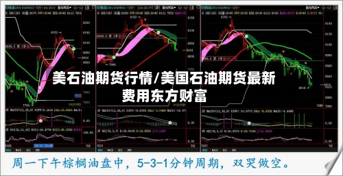 美石油期货行情/美国石油期货最新费用东方财富