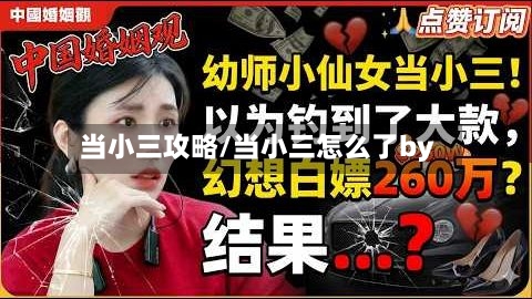 当小三攻略/当小三怎么了by-第2张图片