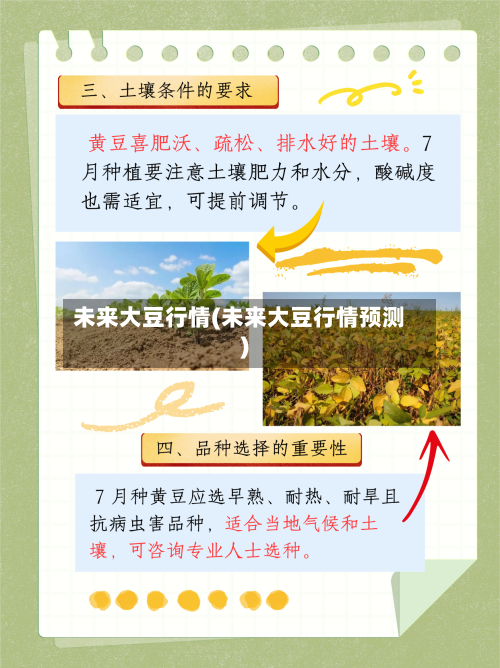 未来大豆行情(未来大豆行情预测)