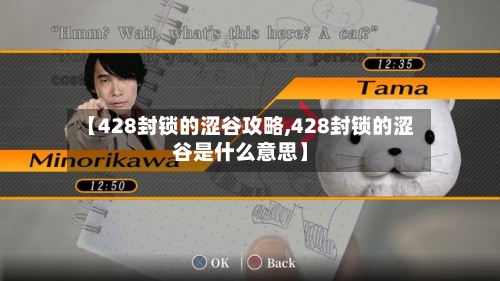 【428封锁的涩谷攻略,428封锁的涩谷是什么意思】