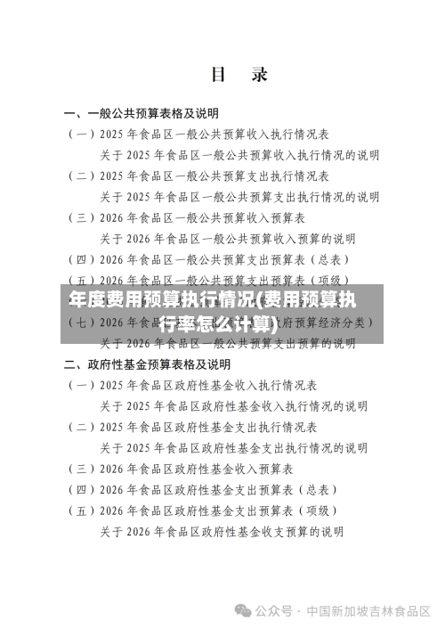 年度费用预算执行情况(费用预算执行率怎么计算)-第2张图片