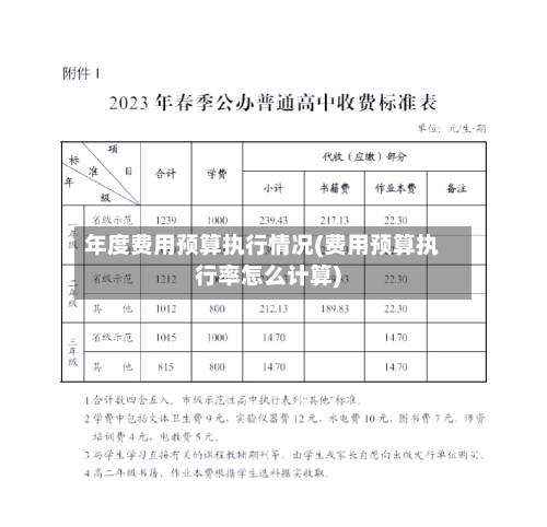 年度费用预算执行情况(费用预算执行率怎么计算)