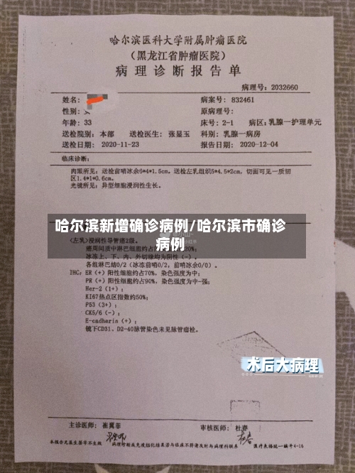 哈尔滨新增确诊病例/哈尔滨市确诊病例