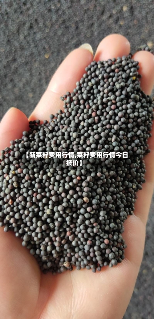 【新菜籽费用行情,菜籽费用行情今日报价】