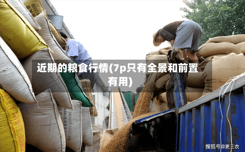 近期的粮食行情(7p只有全景和前置有用)-第2张图片